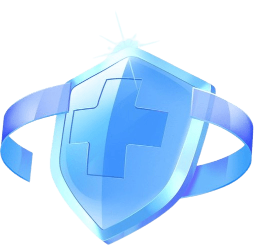 Cyber Shield