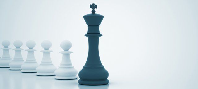 Brand & Leadership